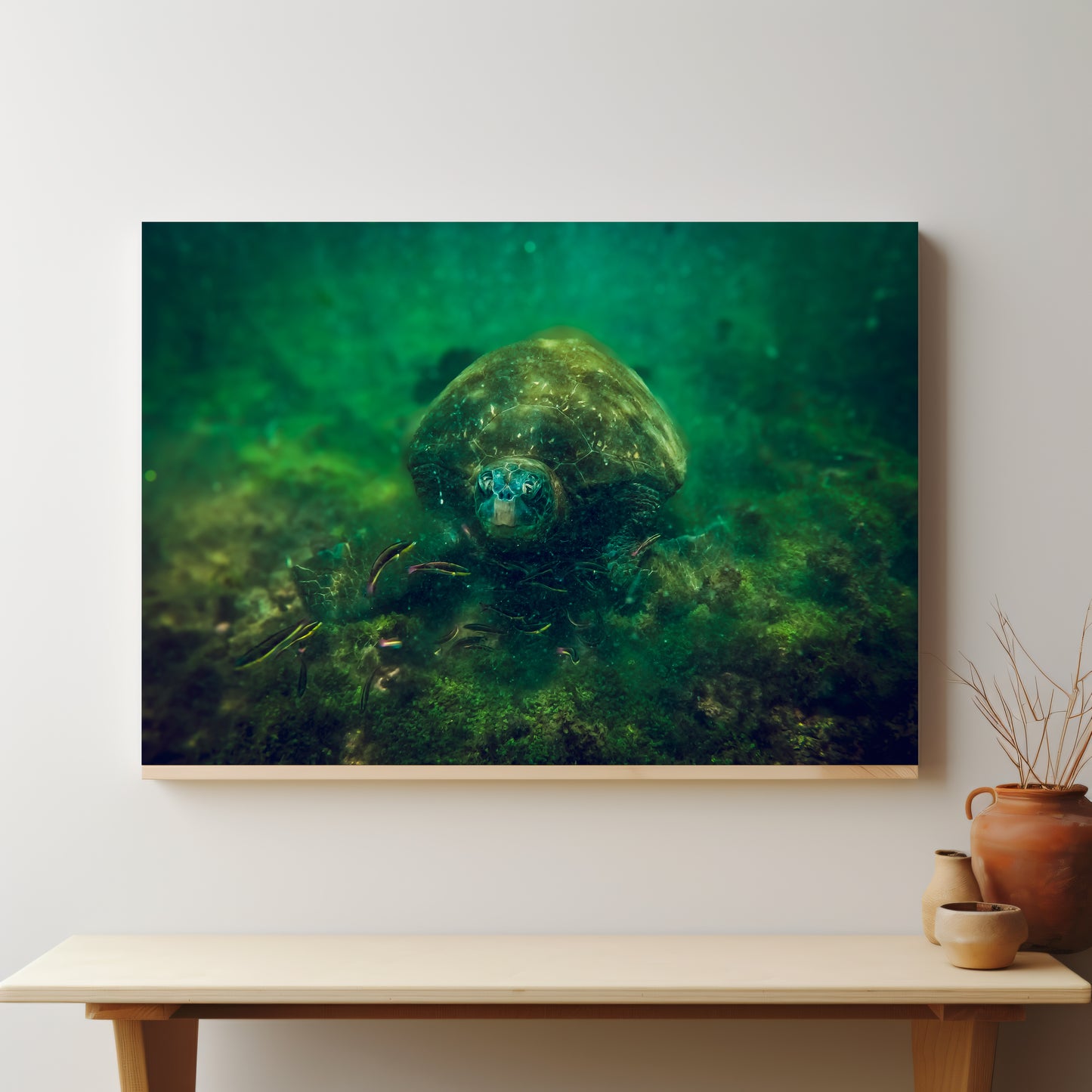 Galapagos Sea Turtle Underwater Canvas Print | Original Marine Photography | Wall Art