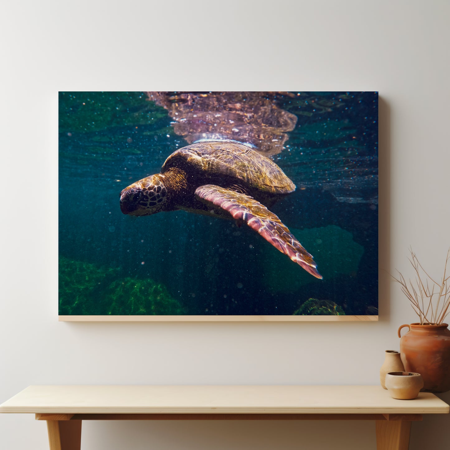 Galapagos Sea Turtle Underwater Canvas Print - Exclusive Wildlife Photography from Ecuador