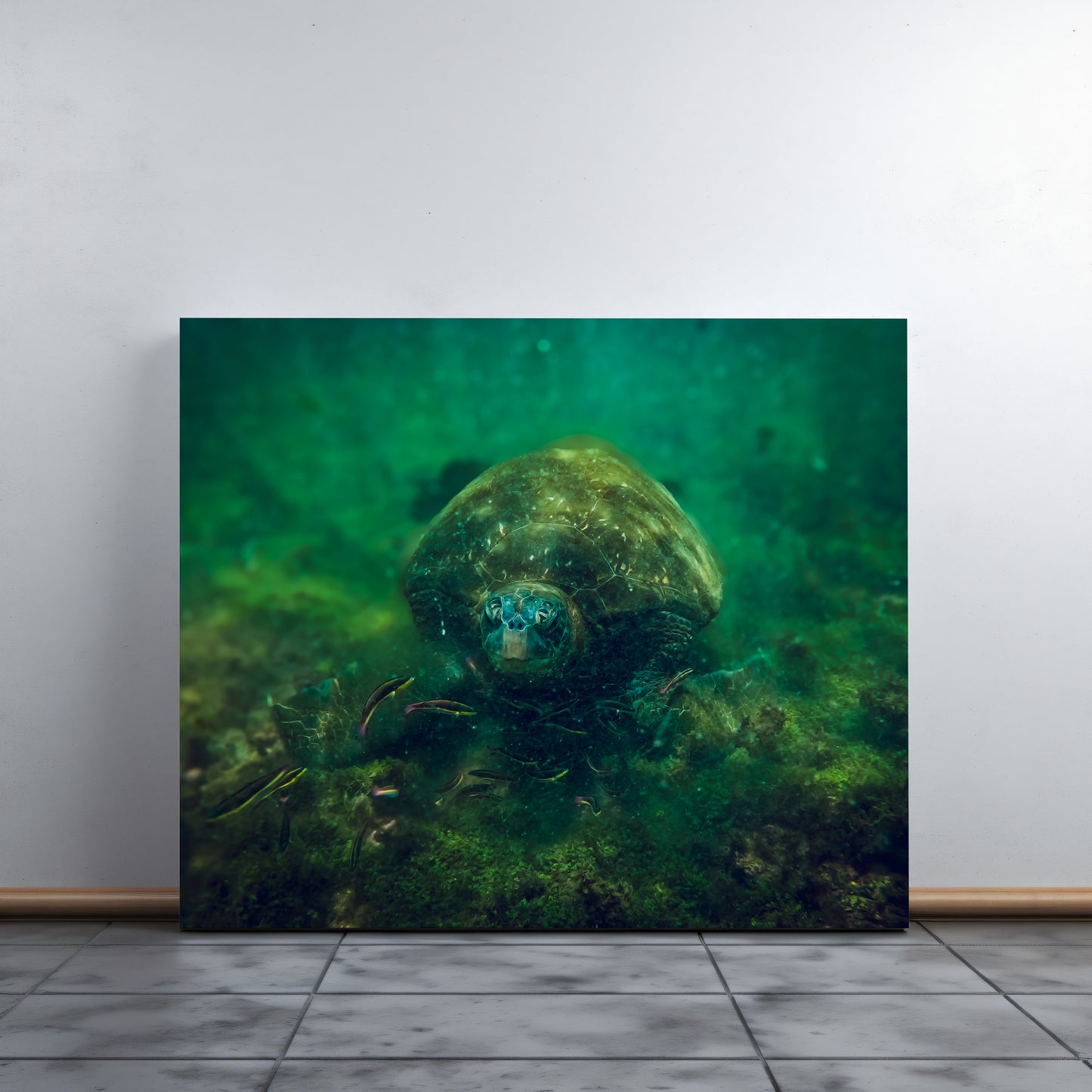 Galapagos Sea Turtle Underwater Canvas Print | Original Marine Photography | Wall Art