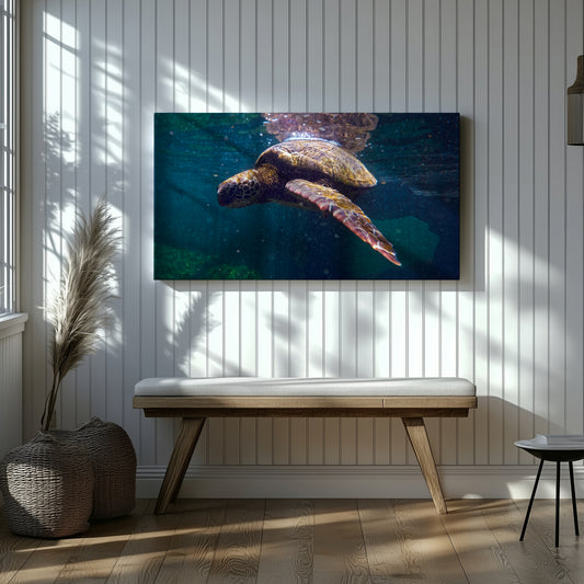 Galapagos Sea Turtle Underwater Canvas Print - Exclusive Wildlife Photography from Ecuador
