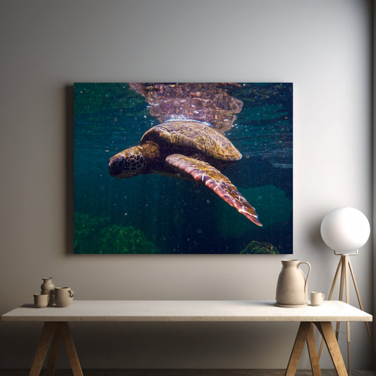 Galapagos Sea Turtle Underwater Canvas Print - Exclusive Wildlife Photography from Ecuador