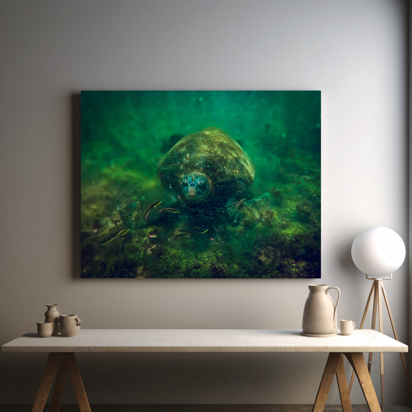 Galapagos Sea Turtle Underwater Canvas Print | Original Marine Photography | Wall Art
